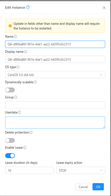 Edit Instance Lease dialog